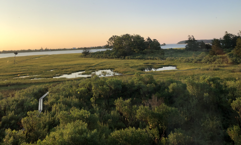 Landscape Therapy Edwina Von Gal Prfct Earth Project Guild Hall