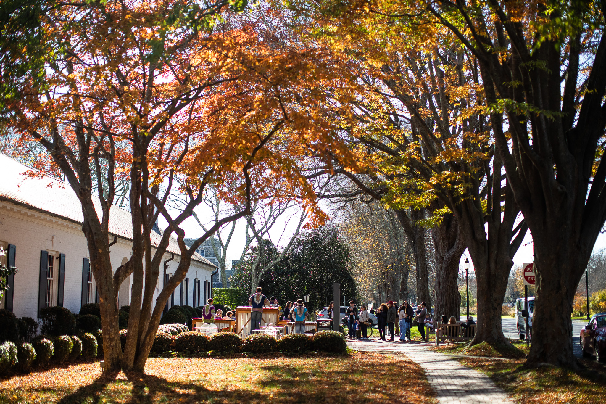 Public art sculpture along a walking art experience on the East End of Long Island in East Hampton Village
